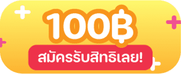 โปรโมชั่น ฿100